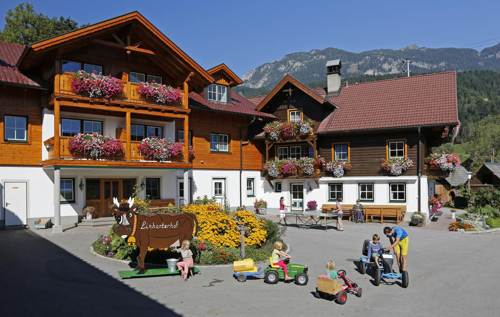 Linharterhof Villa Haus im Ennstal Luaran gambar