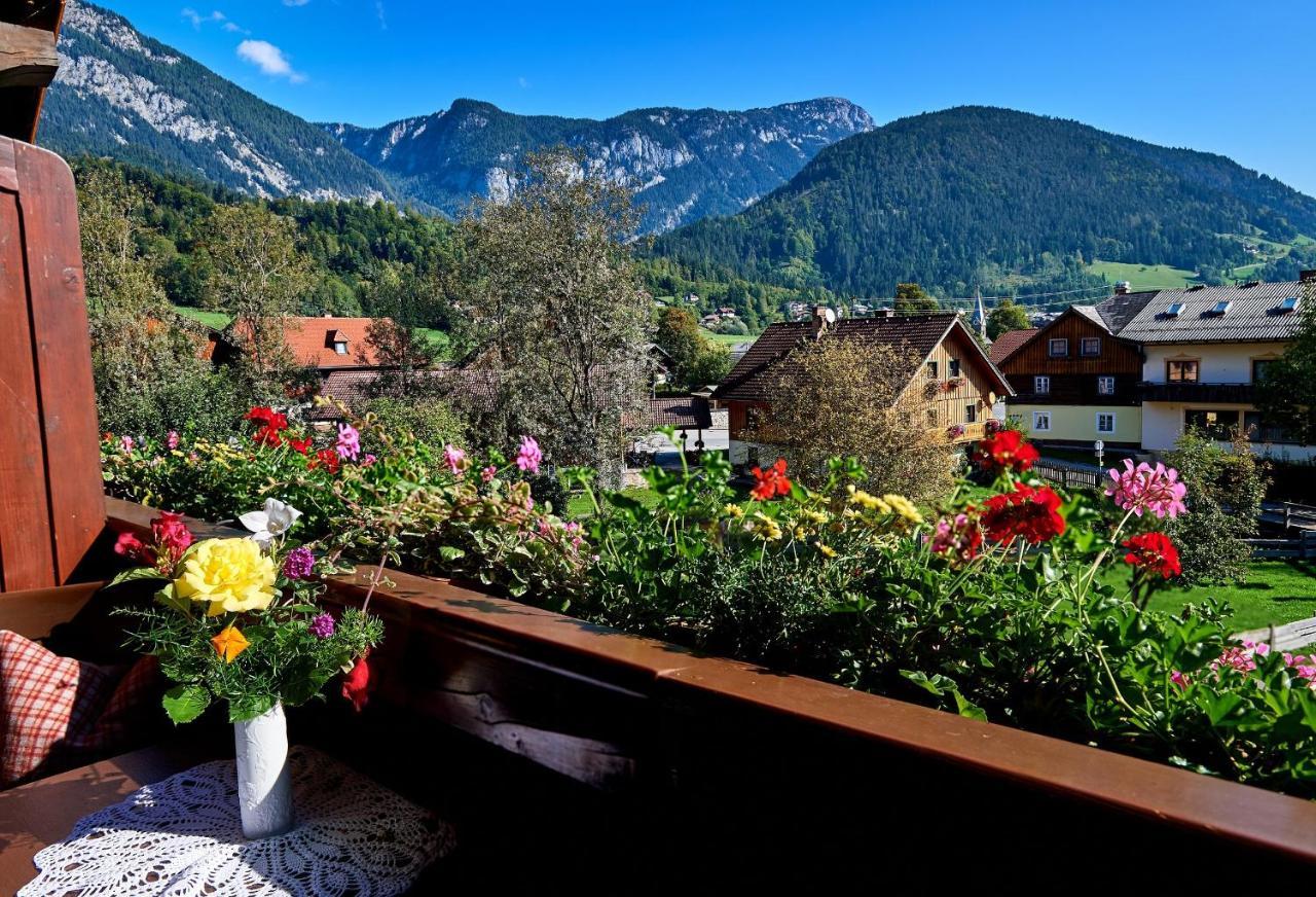 Linharterhof Villa Haus im Ennstal Luaran gambar