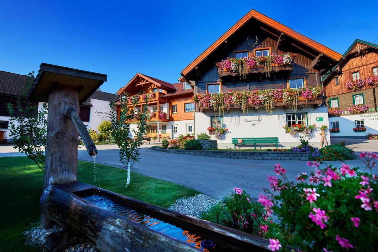 Linharterhof Villa Haus im Ennstal Luaran gambar