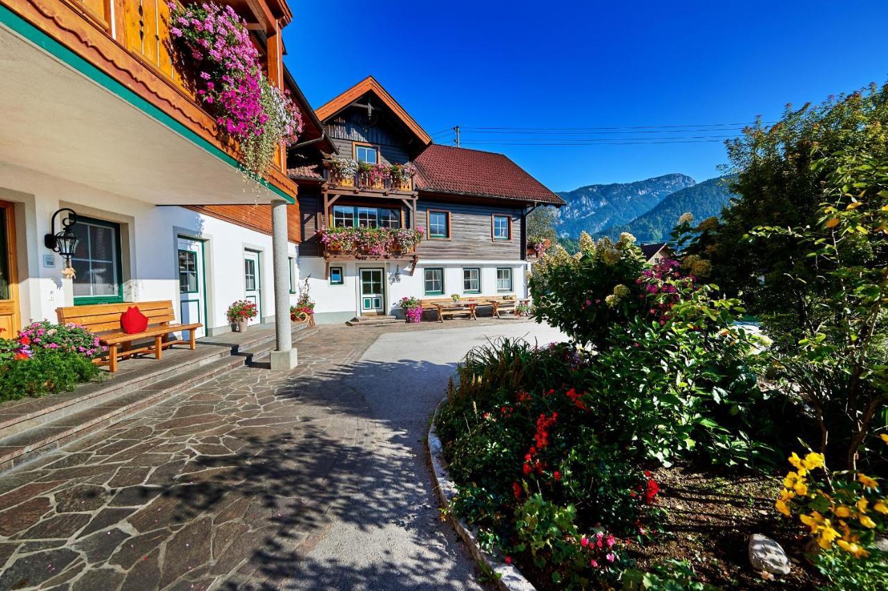 Linharterhof Villa Haus im Ennstal Luaran gambar