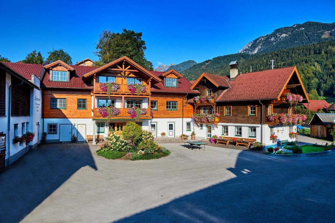 Linharterhof Villa Haus im Ennstal Luaran gambar